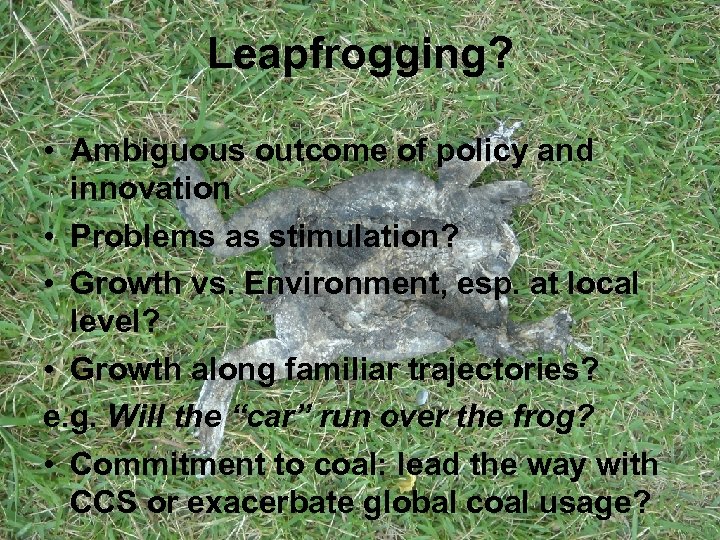 Leapfrogging? • Ambiguous outcome of policy and innovation • Problems as stimulation? • Growth