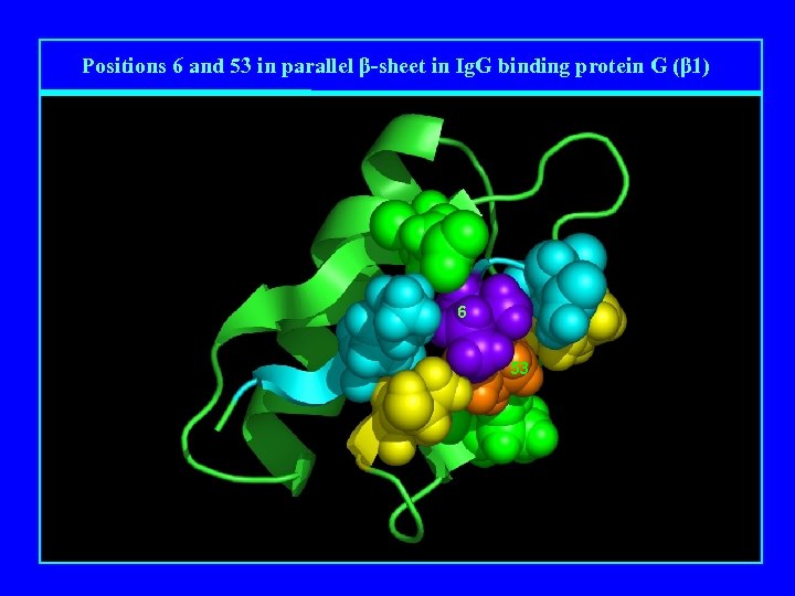 Positions 6 and 53 in parallel β-sheet in Ig. G binding protein G (β