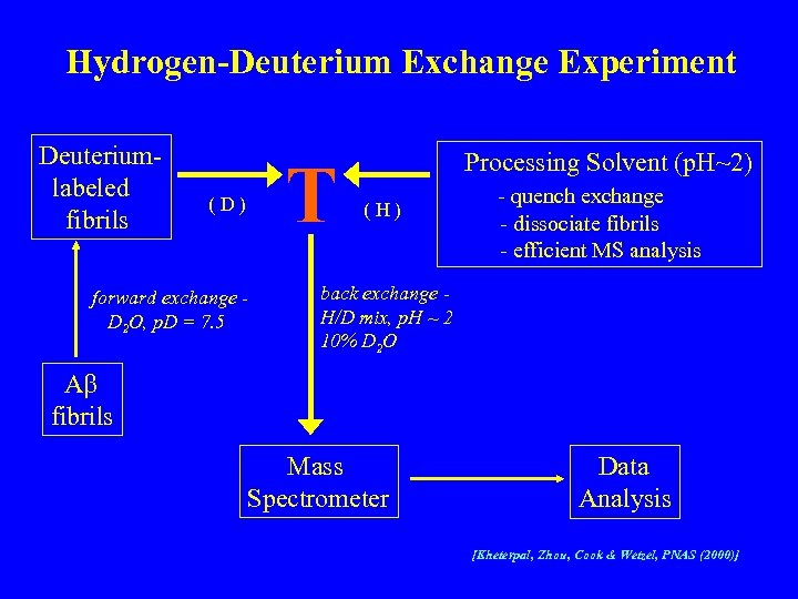 Hydrogen-Deuterium Exchange Experiment Deuteriumlabeled fibrils T (D) forward exchange D 2 O, p. D