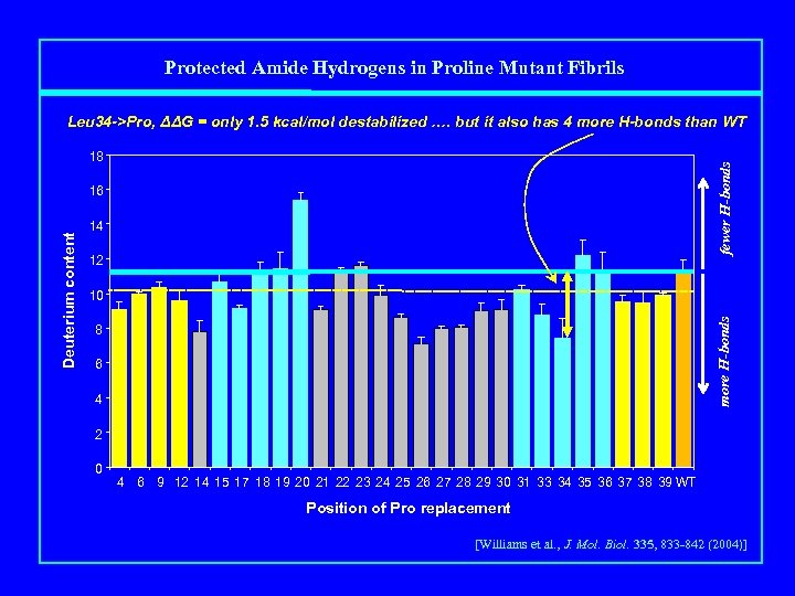 Protected Amide Hydrogens in Proline Mutant Fibrils Leu 34 ->Pro, ΔΔG = only 1.