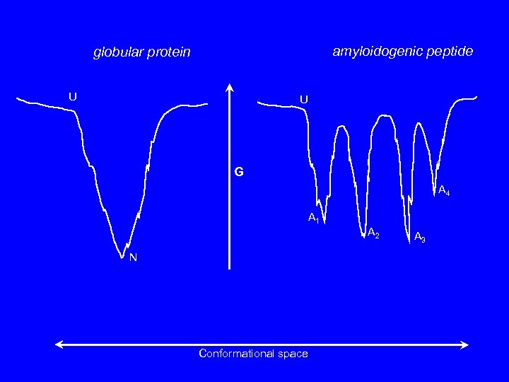amyloidogenic peptide globular protein U U G A 4 A 1 A 2 N