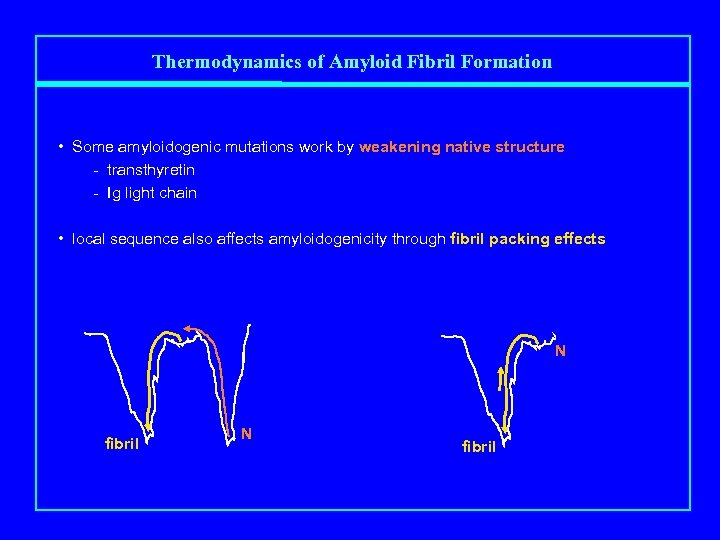 Thermodynamics of Amyloid Fibril Formation • Some amyloidogenic mutations work by weakening native structure