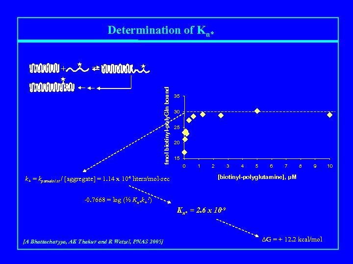 Determination of Kn* fmol biotinyl-poly. Gln bound + k+ = kpseudo 1 st /