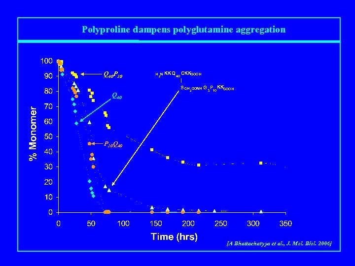 Polyproline dampens polyglutamine aggregation Q 40 P 10 Q 40 H 2 N KKQ