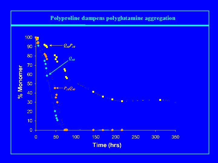 Polyproline dampens polyglutamine aggregation Q 40 P 10 Q 40 P 10 Q 40