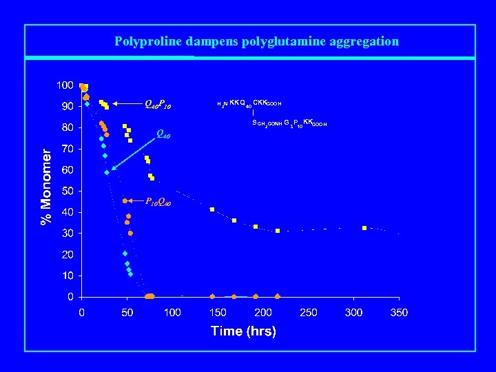 Polyproline dampens polyglutamine aggregation Q 40 P 10 Q 40 P 10 Q 40