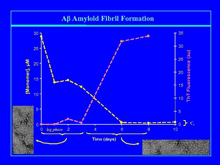 Aβ Amyloid Fibril Formation 35 30 [Monomer], μM 25 20 20 15 15 10