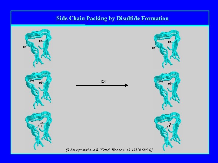 Side Chain Packing by Disulfide Formation HS HS SH HS [O] HS SH SH