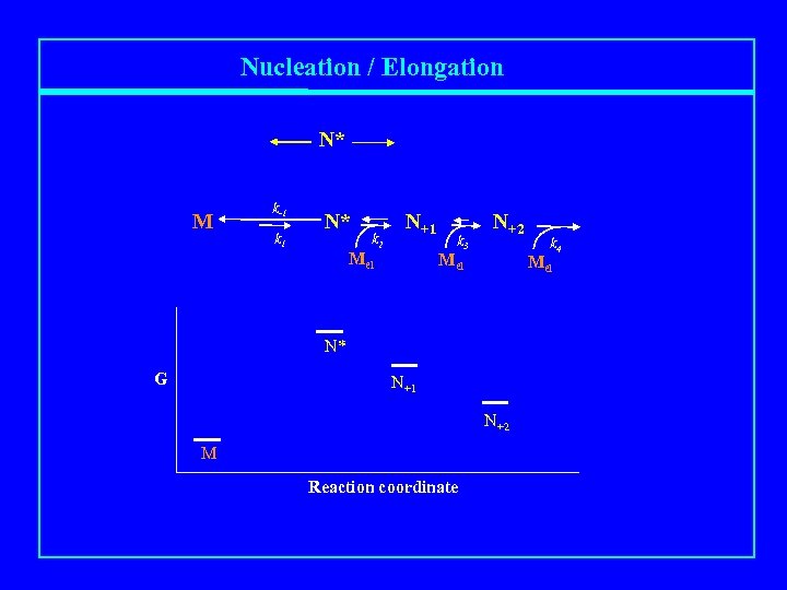 Nucleation / Elongation N* M k-1 k 1 N* k 2 N+1 Mel k