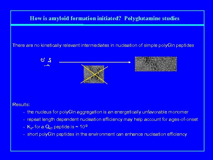 How is amyloid formation initiated? Polyglutamine studies There are no kinetically relevant intermediates in