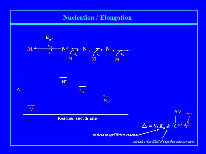 Nucleation / Elongation Kn* M k-1 k 1 N* M k 2 N+1 M