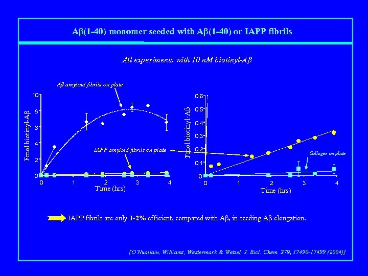 Aβ(1 -40) monomer seeded with Aβ(1 -40) or IAPP fibrils All experiments with 10