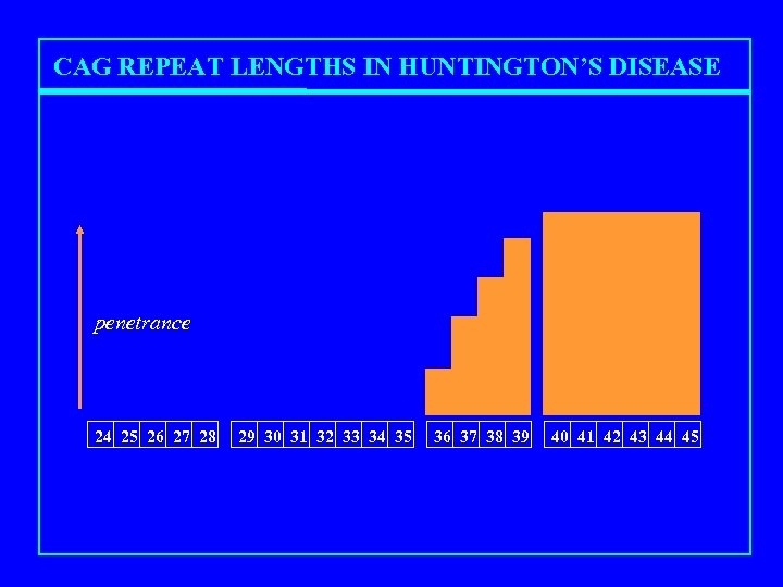 CAG REPEAT LENGTHS IN HUNTINGTON’S DISEASE penetrance 24 25 26 27 28 29 30