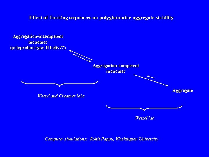 Effect of flanking sequences on polyglutamine aggregate stability Aggregation-incompetent monomer (polyproline type II helix?