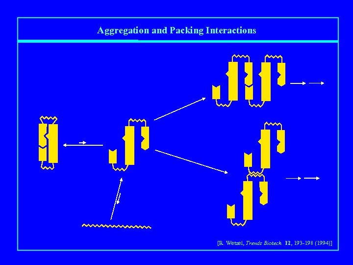 Aggregation and Packing Interactions [R. Wetzel, Trends Biotech. 12, 193 -198 (1994)] 