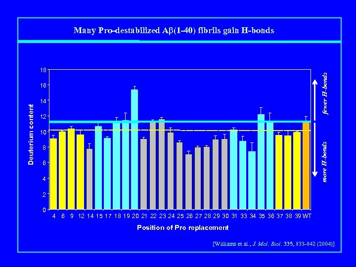 Many Pro-destabilized Aβ(1 -40) fibrils gain H-bonds fewer H-bonds 18 14 12 10 more