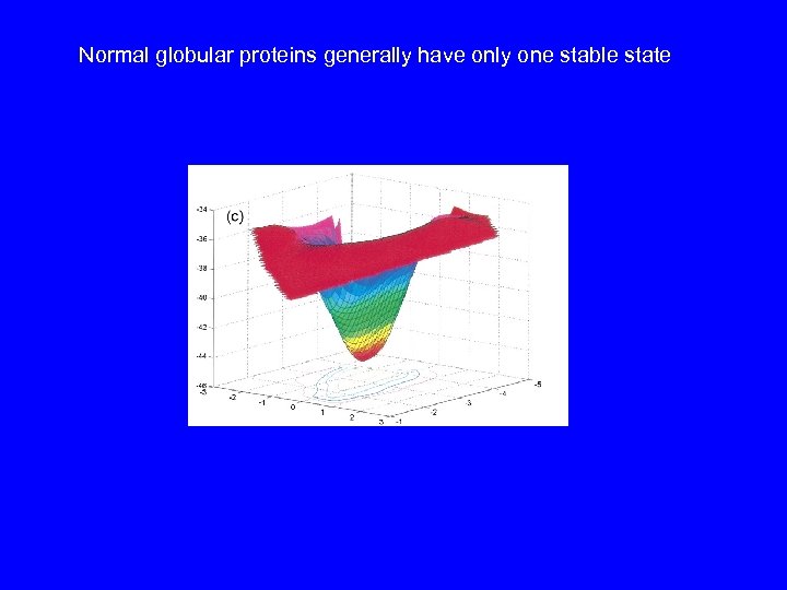 Normal globular proteins generally have only one stable state 