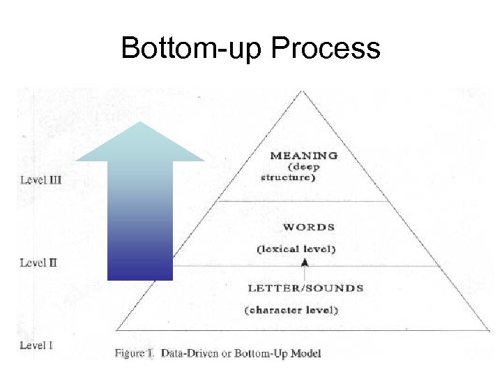 Bottom-up Process 