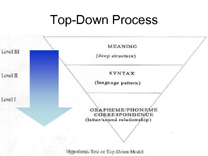 Top-Down Process 