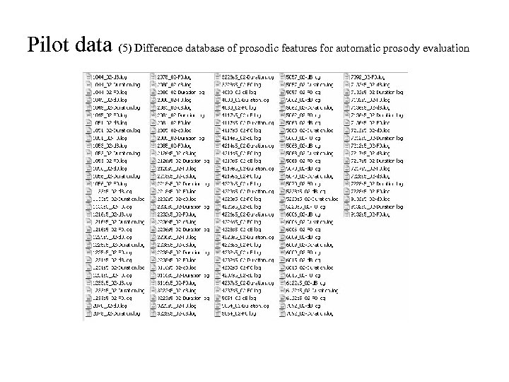 Pilot data (5) Difference database of prosodic features for automatic prosody evaluation 