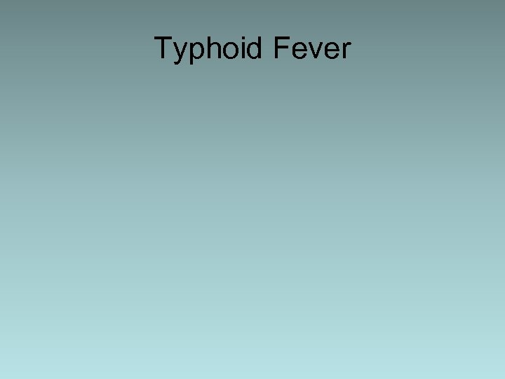 Typhoid Fever 