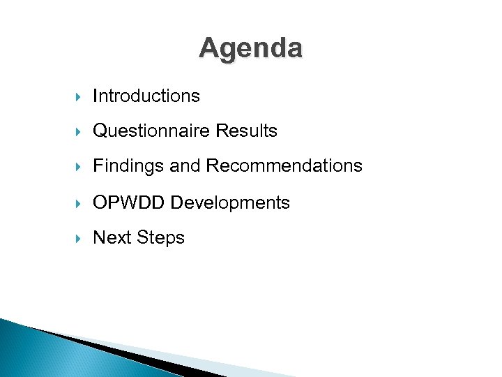 Agenda Introductions Questionnaire Results Findings and Recommendations OPWDD Developments Next Steps 