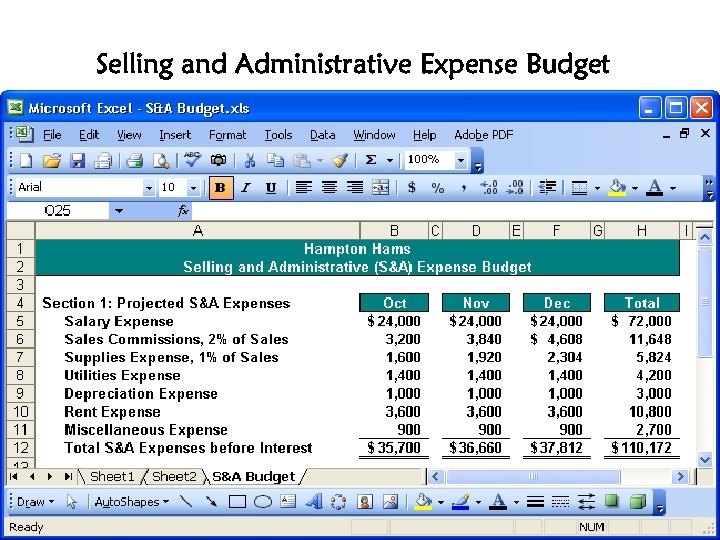 Selling and Administrative Expense Budget 