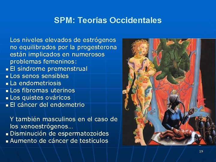 SPM: Teorías Occidentales Los niveles elevados de estrógenos no equilibrados por la progesterona están