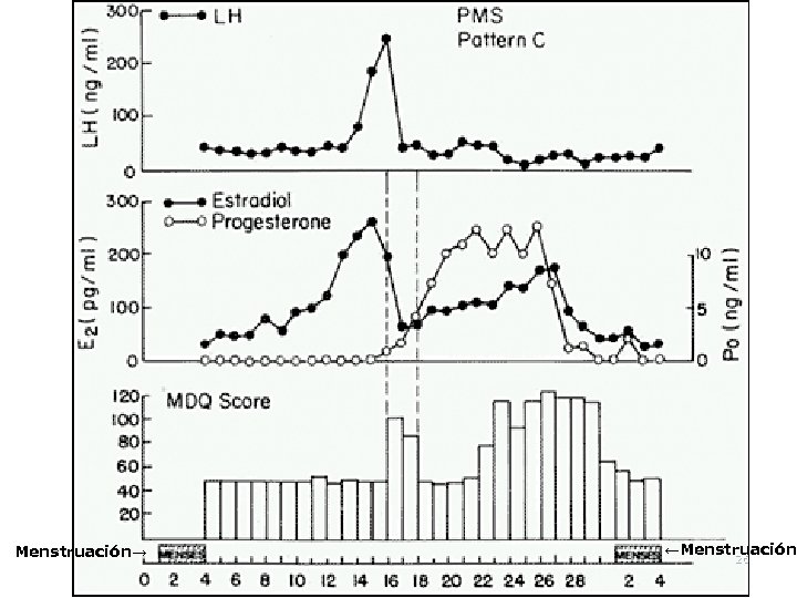 Menstruación→ ←Menstruación 26 