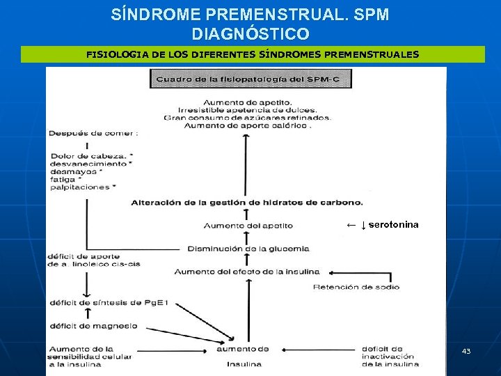 SÍNDROME PREMENSTRUAL. SPM DIAGNÓSTICO FISIOLOGIA DE LOS DIFERENTES SÍNDROMES PREMENSTRUALES ← ↓ serotonina 43