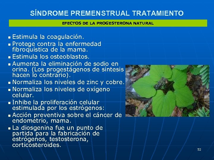SÍNDROME PREMENSTRUAL TRATAMIENTO EFECTOS DE LA PROGESTERONA NATURAL Estimula la coagulación. n Protege contra