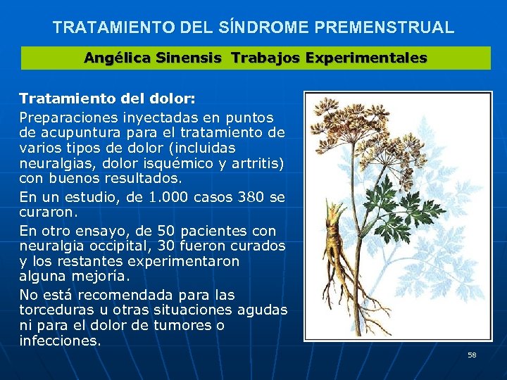 TRATAMIENTO DEL SÍNDROME PREMENSTRUAL Angélica Sinensis Trabajos Experimentales Tratamiento del dolor: Preparaciones inyectadas en