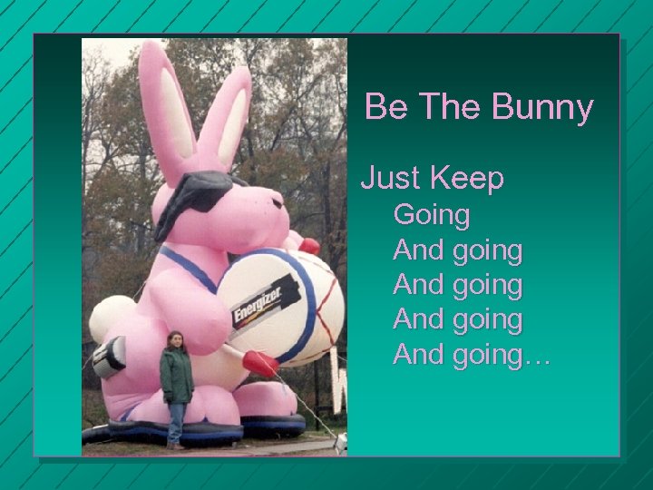 Be The Bunny Just Keep Going And going… 
