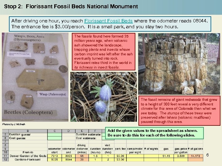 Stop 2: Florissant Fossil Beds National Monument After driving one hour, you reach Florissant