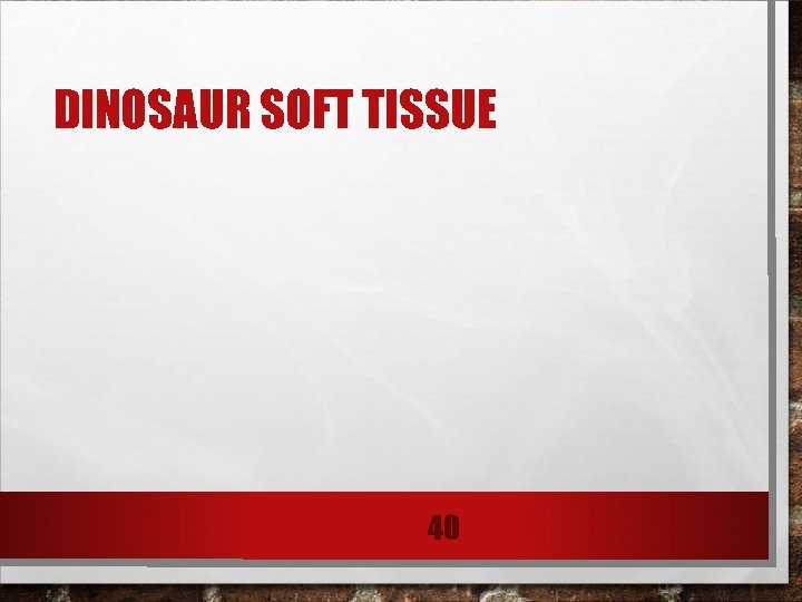 DINOSAUR SOFT TISSUE 40 