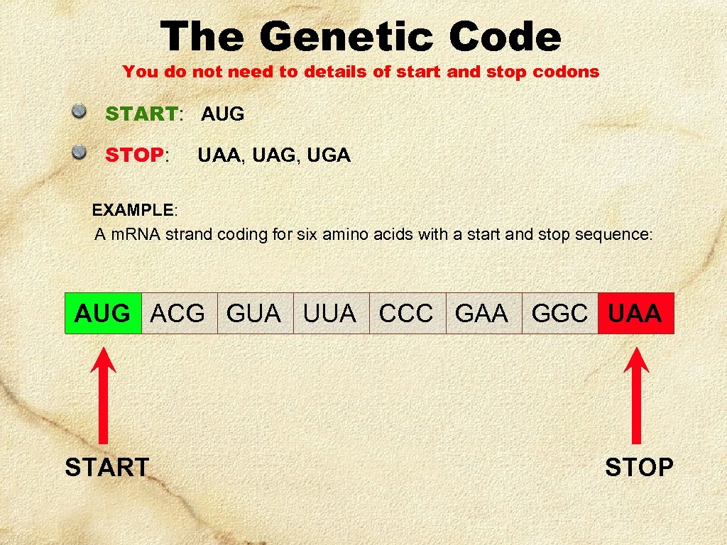 The Genetic Code You do not need to details of start and stop codons
