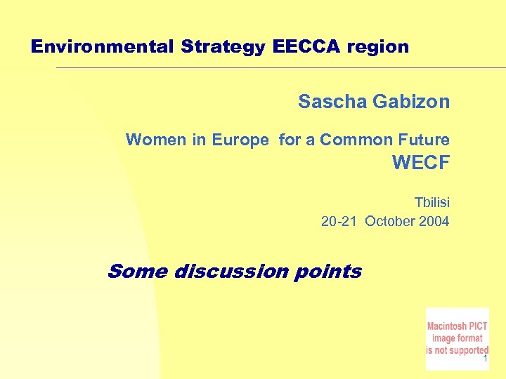 Environmental Strategy EECCA region Sascha Gabizon Women in Europe for a Common Future WECF