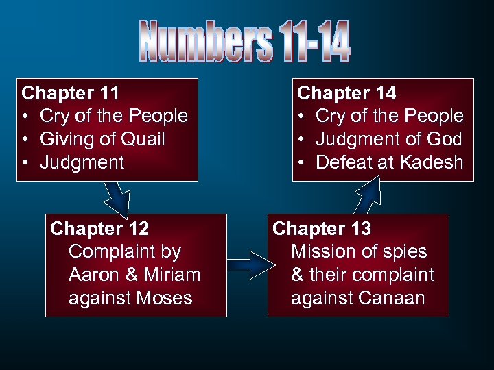 Chapter 11 • Cry of the People • Giving of Quail • Judgment Chapter