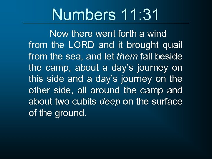 Numbers 11: 31 Now there went forth a wind from the LORD and it