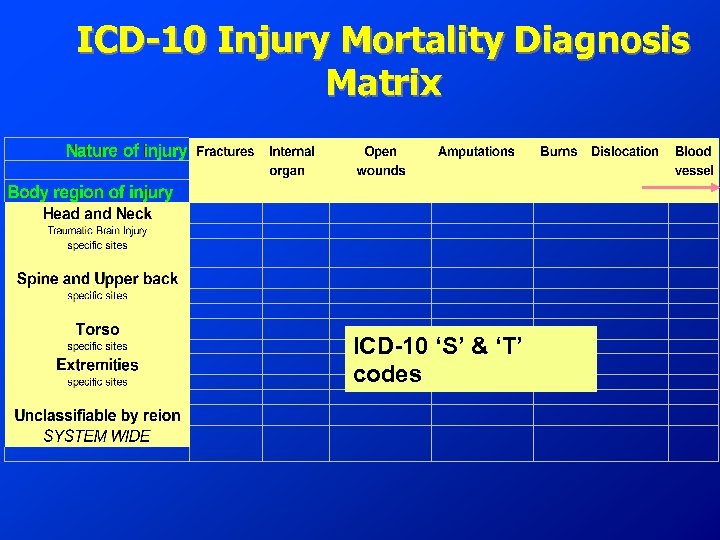 ICD-10 Injury Mortality Diagnosis Matrix ICD-10 ‘S’ & ‘T’ codes 
