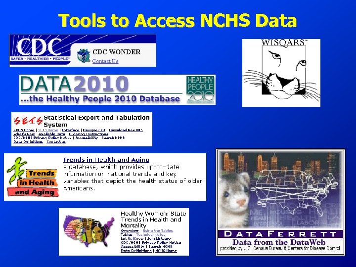 Tools to Access NCHS Data 