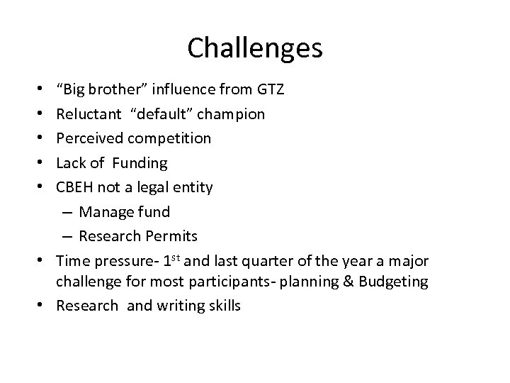 Challenges “Big brother” influence from GTZ Reluctant “default” champion Perceived competition Lack of Funding