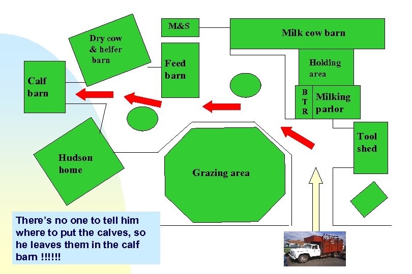 M&S Dry cow & heifer barn Calf barn Milk cow barn Holding area Feed