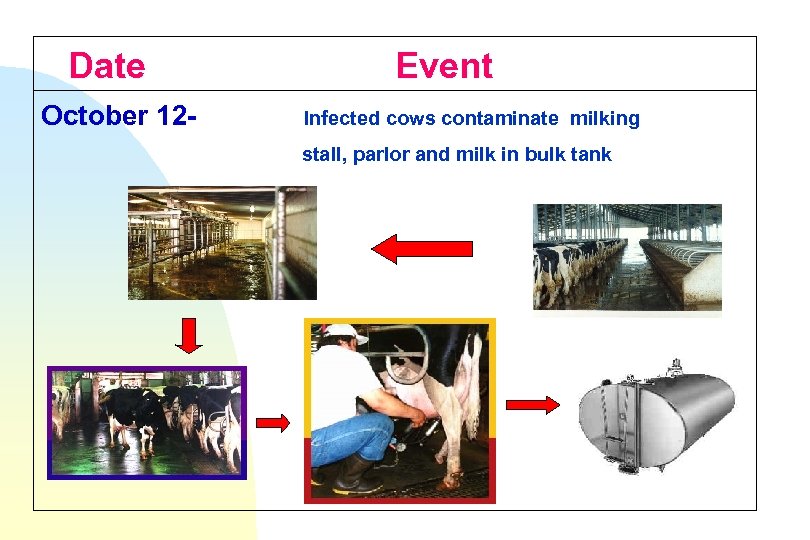 Date October 12 - Event Infected cows contaminate milking stall, parlor and milk in