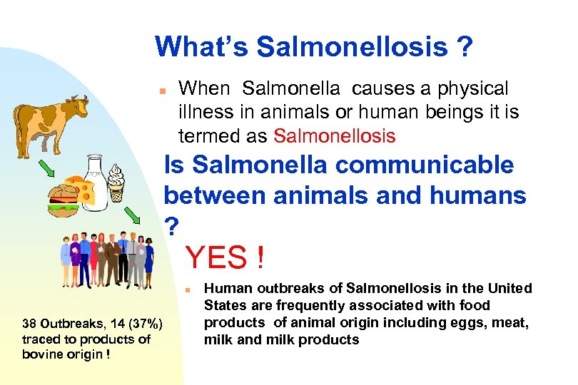 What’s Salmonellosis ? n When Salmonella causes a physical illness in animals or human