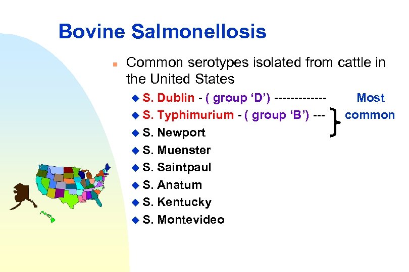 Bovine Salmonellosis n Common serotypes isolated from cattle in the United States u S.