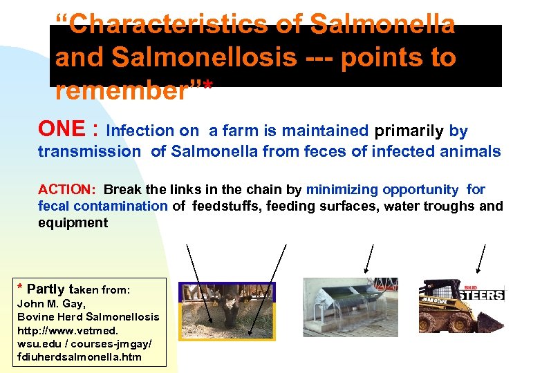 “Characteristics of Salmonella and Salmonellosis --- points to remember”* ONE : Infection on a