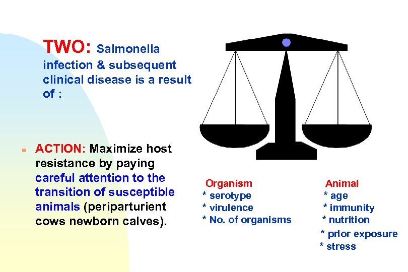 TWO: Salmonella infection & subsequent clinical disease is a result of : n ACTION: