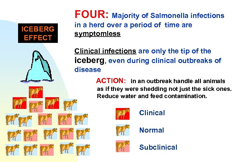 FOUR: Majority of Salmonella infections ICEBERG EFFECT in a herd over a period of