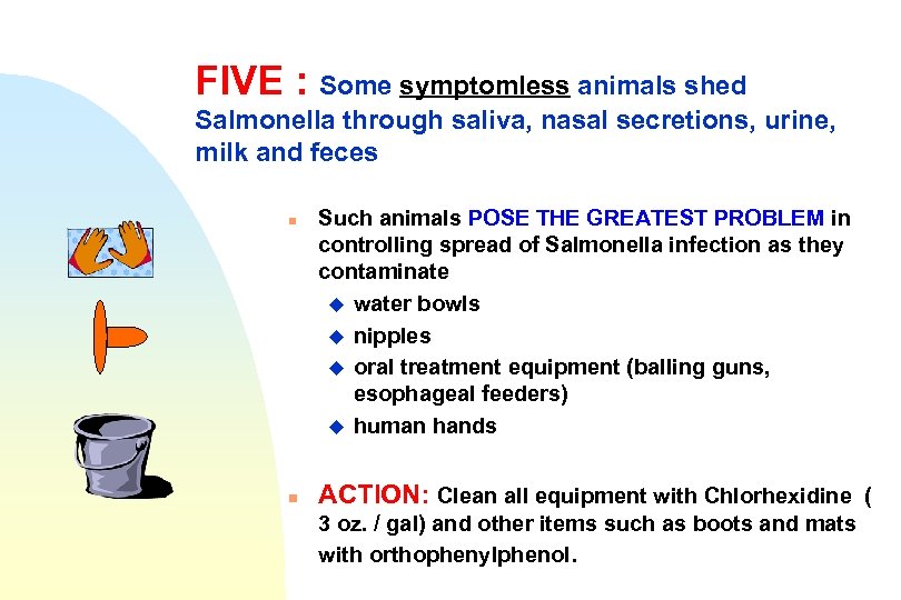 FIVE : Some symptomless animals shed Salmonella through saliva, nasal secretions, urine, milk and